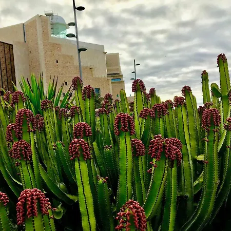 Lejlighed Canary Islands Holidays Las Palmas de Gran Canaria